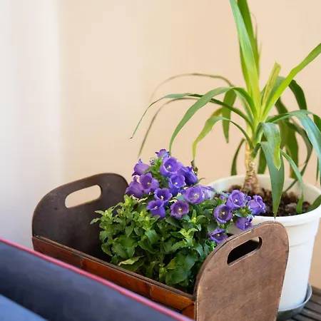 Five Mantellate 9 Bed & Breakfast Florencie